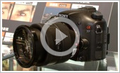 Sony α77 DSLR and NEX-7 Digital Cameras