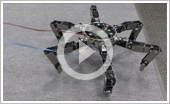 Asterisk - Omni-directional Insect Robot Picks Up Prey